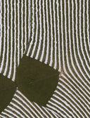 Calze corte donna cotone fantasia seersucker verde - Gallo 1927 - Official Online Shop