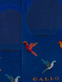 Soletta unisex cotone fantasia pappagalli blu - Gallo 1927 - Official Online Shop